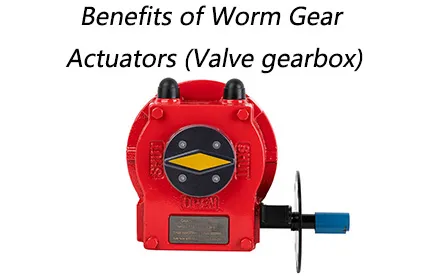/What Are the Benefits of Worm Gear Actuators (Valve Gearbox)?