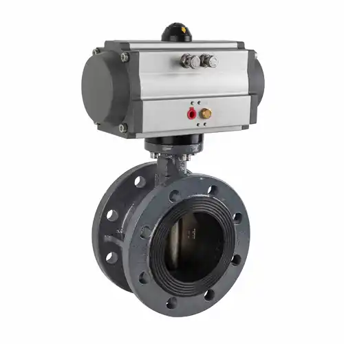 pneumatic actuators 1